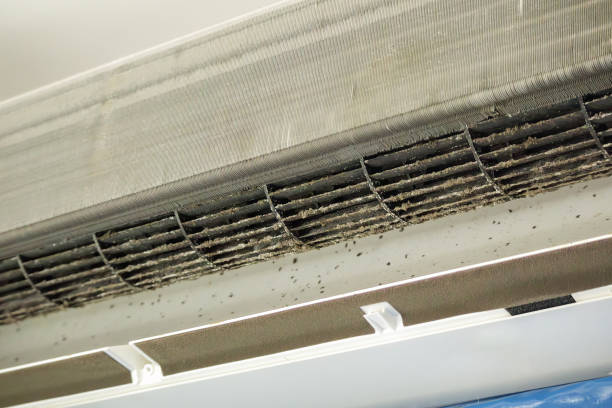 Best Local Air Duct Cleaning Services  in Colonial Beach, VA